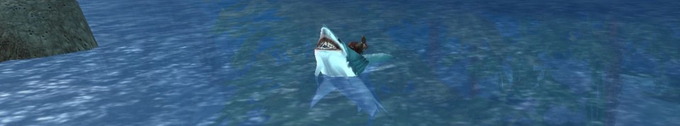 a little bit of everything all of the time