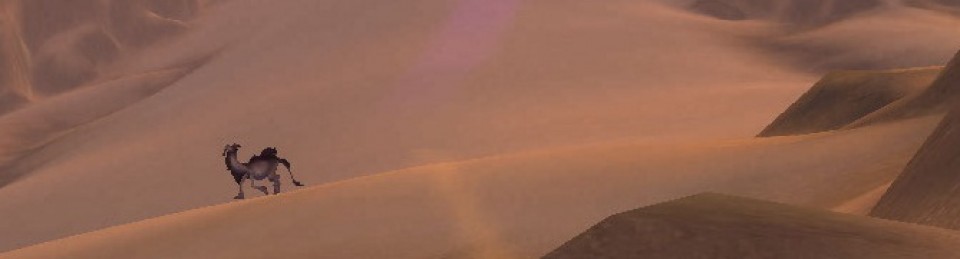 a little bit of everything all of the time